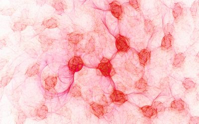 Powięź – czym jest i jak wpływa na zdrowie? Objawy, terapia i ćwiczenia