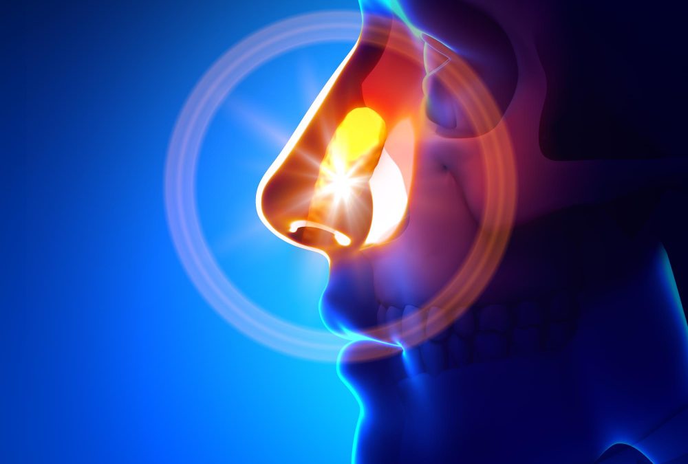 Kość lemiesz  – objawy dysfunkcji i leczenie osteopatyczne