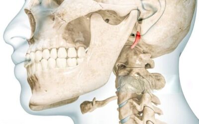 Wyrostek rylcowaty- kompleksowy przewodnik po anatomii, urazach i leczeniu